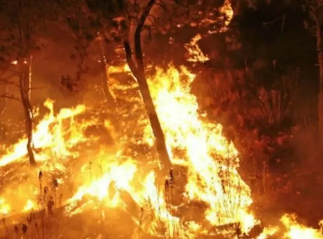 Un detenido y dos vinculados a proceso por incendios forestales en Zapopan.