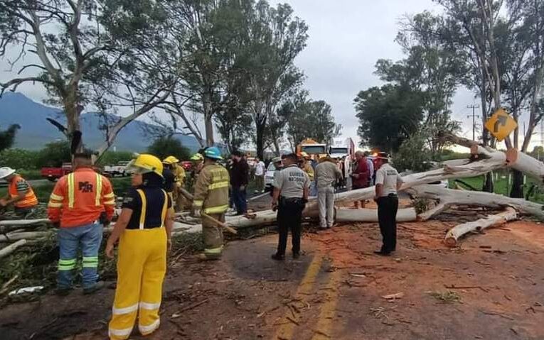 Mueren dos personas al caer árboles en la autopista Guadalajara-Colima.