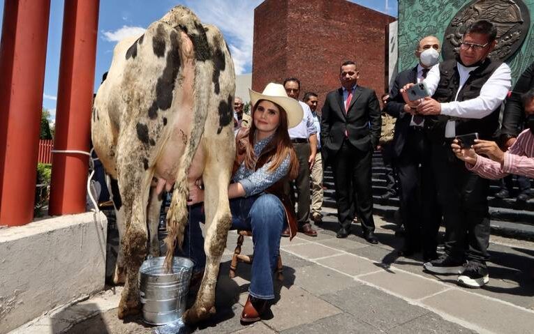 Ganaderos piden que la leche sea considera alimento y no bebida.